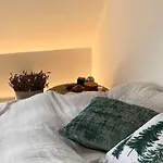 Modernes Penthouse-loft Mit Konuskarte Fuer Kostenfreien Oepnv Ehrenkirchen