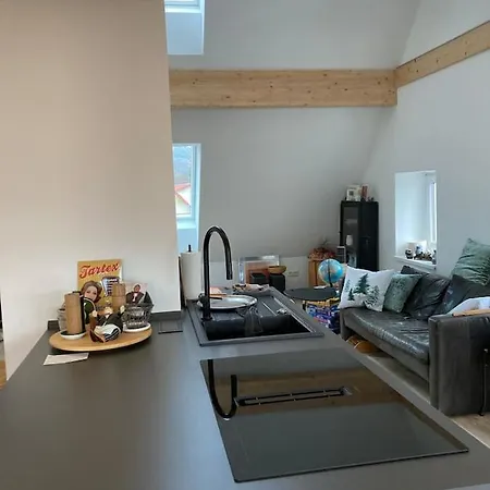 Modernes Penthouse-loft Mit Konuskarte Fuer Kostenfreien Oepnv Appartamento *