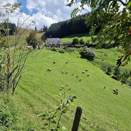 דירה Modernes Penthouse-loft Mit Konuskarte Fuer Kostenfreien Oepnv *