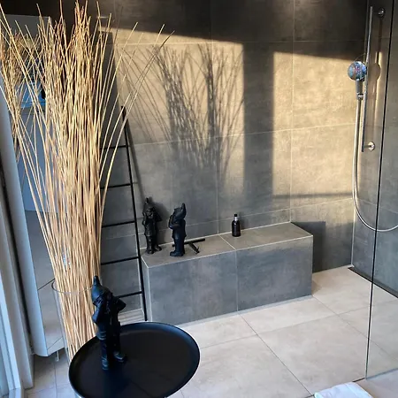 Apartment Neues Penthouse-loft Mit Konuskarte Fuer Gratis Oepnv Ehrenkirchen
