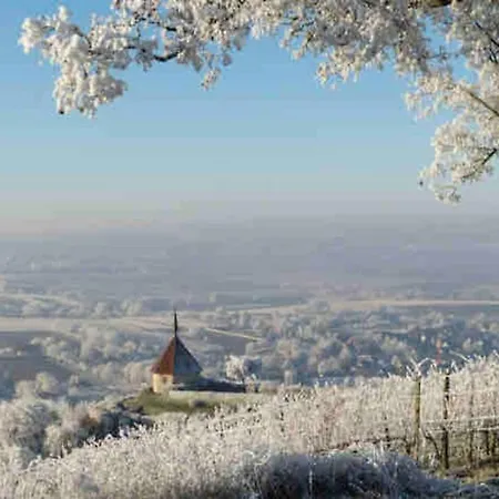 דירה Modernes Penthouse-loft Mit Konuskarte Fuer Kostenfreien Oepnv Ehrenkirchen