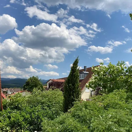 Modernes Penthouse-loft Mit Konuskarte Fuer Kostenfreien Oepnv *