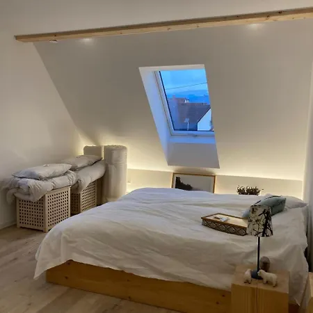 Apartment Neues Penthouse-loft Mit Konuskarte Fuer Gratis Oepnv *