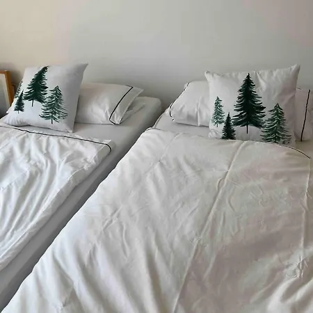 Modernes Penthouse-loft Mit Konuskarte Fuer Kostenfreien Oepnv * Ehrenkirchen