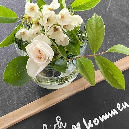 Modernes Penthouse-loft Mit Konuskarte Fuer Kostenfreien Oepnv Ehrenkirchen