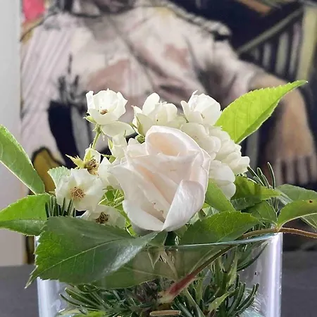 Modernes Penthouse-loft Mit Konuskarte Fuer Kostenfreien Oepnv דירה *