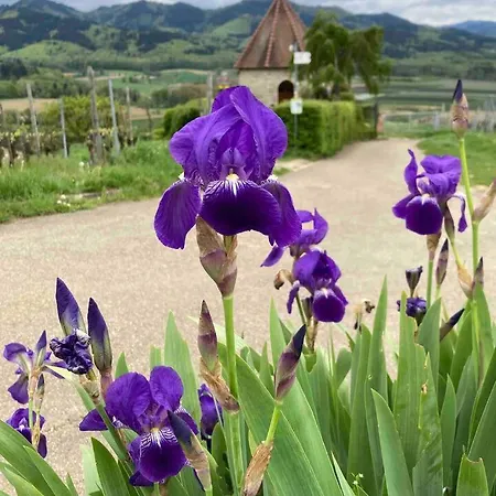 Modernes Penthouse-loft Mit Konuskarte Fuer Kostenfreien Oepnv * Ehrenkirchen