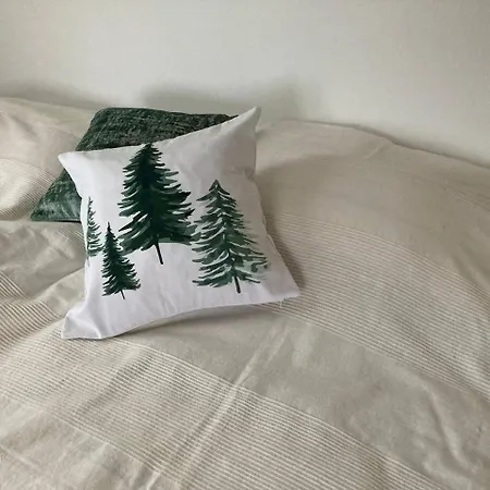 Modernes Penthouse-loft Mit Konuskarte Fuer Kostenfreien Oepnv Ehrenkirchen